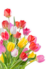 Beautiful bouquet of flowers tulip isolated on white background