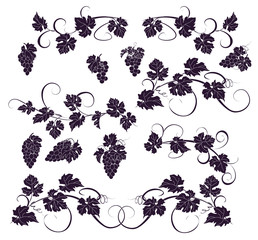 Vector design elements in vintage style with vines. - 101206524