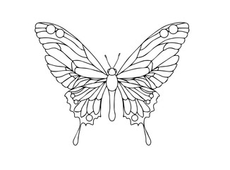 Hand drawn ornamental butterfly outline illustration 
