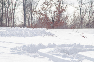 road, trail in winter forest