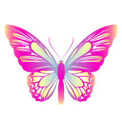 butterflies design