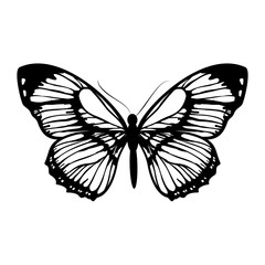 butterflies design