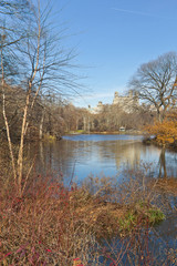 Central Park lake with building and tree reflection