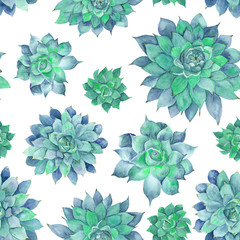 Watercolor Turquoise Succulent Pattern