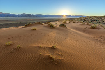 Patterns in the sand at sunrise