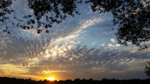 Sonnenuntergang am Bremer Unisee