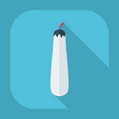 Flat modern design with shadow icons squash