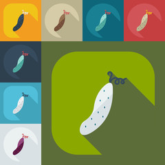 Flat modern design with shadow icons cucumber