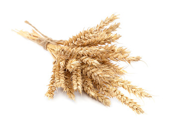 Sheaf of wheat ears on white background.