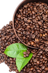 Coffee beans with green leaves