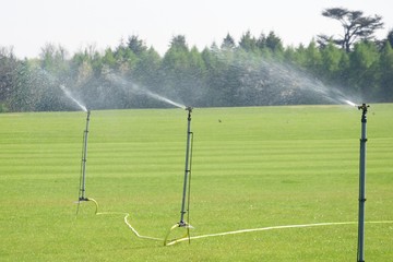 Irrigation taps spraying over lawn
