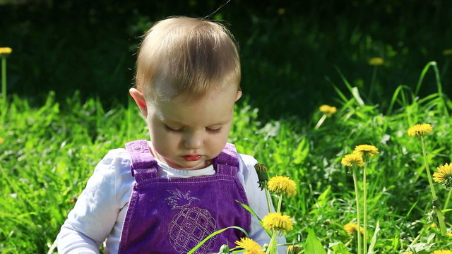 Charming toddler girl playing with dandelions on meadow at sunny day