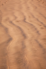 Ondulation de sable sur la cote sauvage 