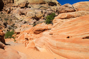 Nevada Valley of Fire