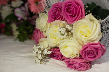 flowers, roses, gerbera