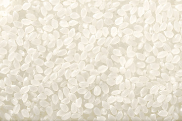 foodbackground of raw rice