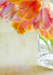 Colorful French tulips in a jar. Toned for vintage, aged texture.  Copy space