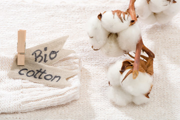 Sweater made of natural fabrics and branch with cotton blossoms