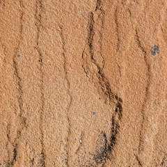 Close-up texture