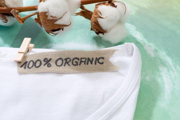 T-shirt made of natural fabrics and branch with cotton blossoms