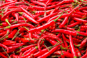 Red chilli background.