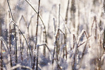 texture of frost crystals background