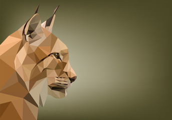 Lince Low Poly