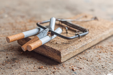 Antismoking background with broken cigarettes in a trap