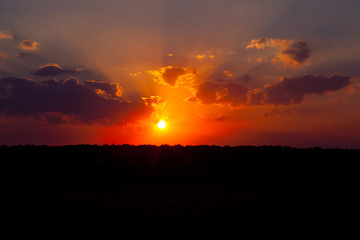 Fototapeta premium summer sunset in the field. a hot evening.
