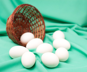 goose eggs on green background
