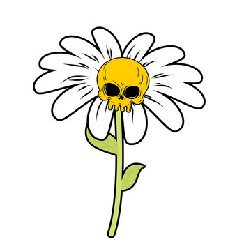 Flower of death. Chamomile with skull. Head skeleton with white