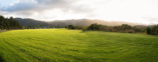 Fototapeta na wymiar New Zealand green field sunrise