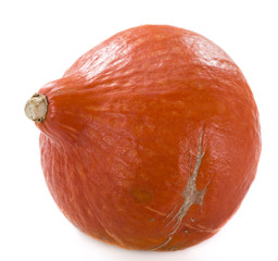 Fresh Pumpkin (isolated on white)