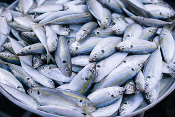 Obraz premium Fresh fishes in a market.