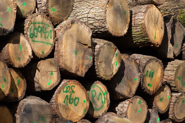 Holzwirtschaft Holzlagerplatz