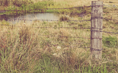 Fence with wooden pole and barbed wire. Focus on wooden pole. 
