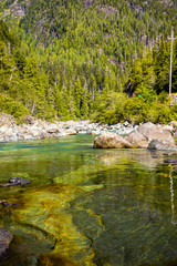 View Near Ellis Creek On Vancouver Island