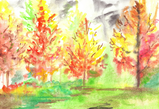Watercolor autumn forest wood landscape