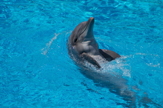 Parco Acquatico