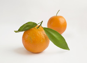 Mandarin fruits with green leaves on a white background