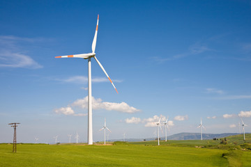 Fototapeta premium Wind farm, Sicily, Italy