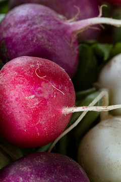 fresh raw organic radish