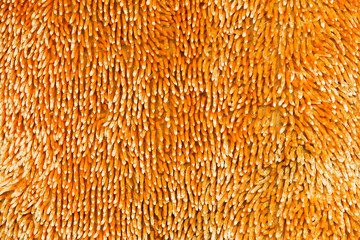 Texture of microfiber fabric
