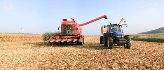 Fototapeta premium récolte du mais au tombereau