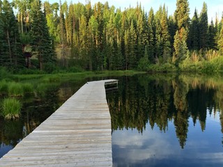 Summer lake with dock and water reflection in Telluride, Colorado