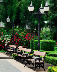 Chair in the garden.