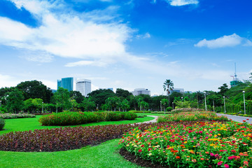 Fototapeta na wymiar Garden in the city.