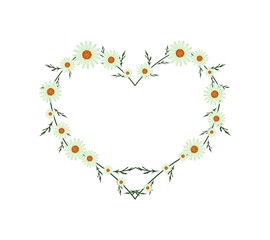 Beautiful Green Daisy Flowers in Heart Shape