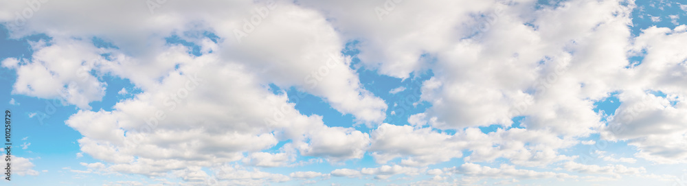 Wall mural panoramic shot of a beautiful cloudy sky