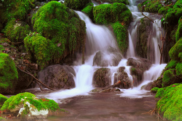 Mountain stream among the mossy stones